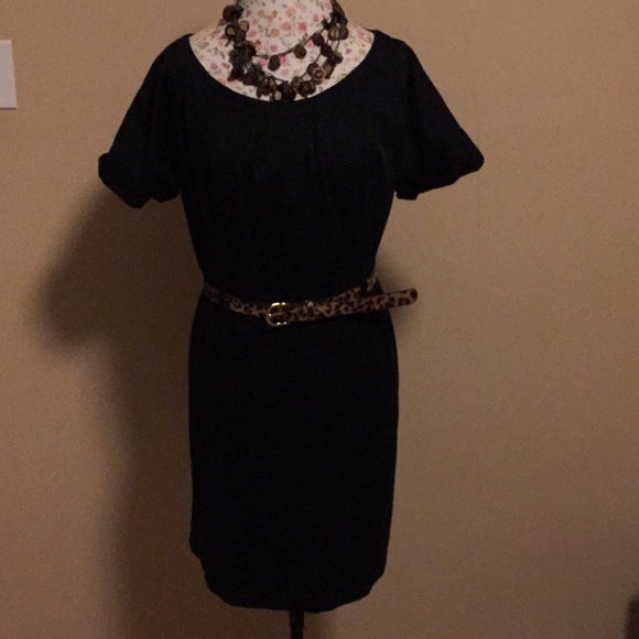 Merona - little black dress - leopard belt - L - Picture 4 of 8